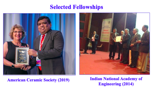 Selected Fellowships